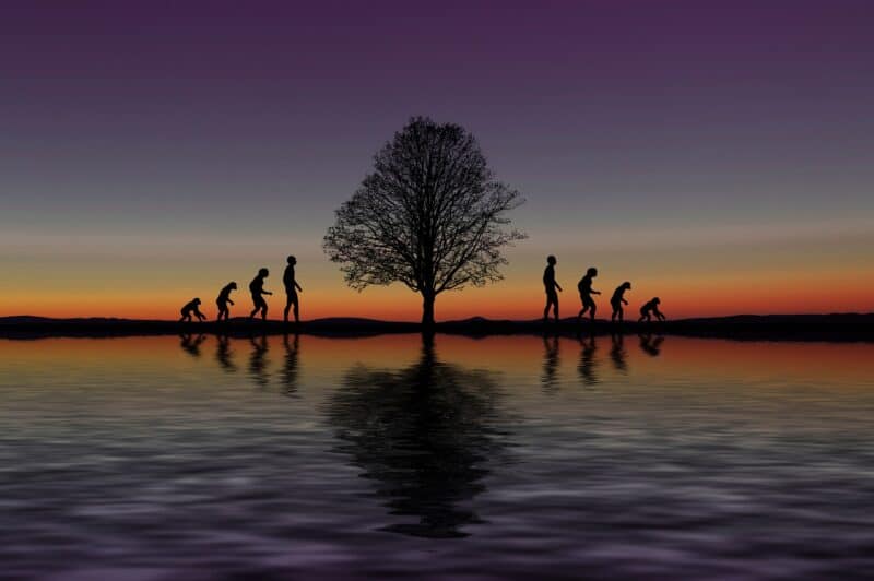 Image by Gerd Altmann from Pixabay