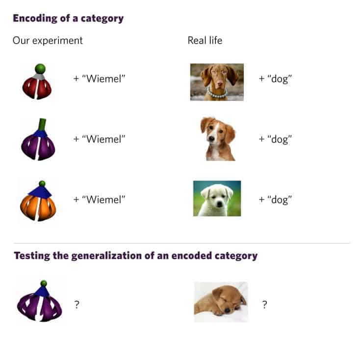 Encoding of a category