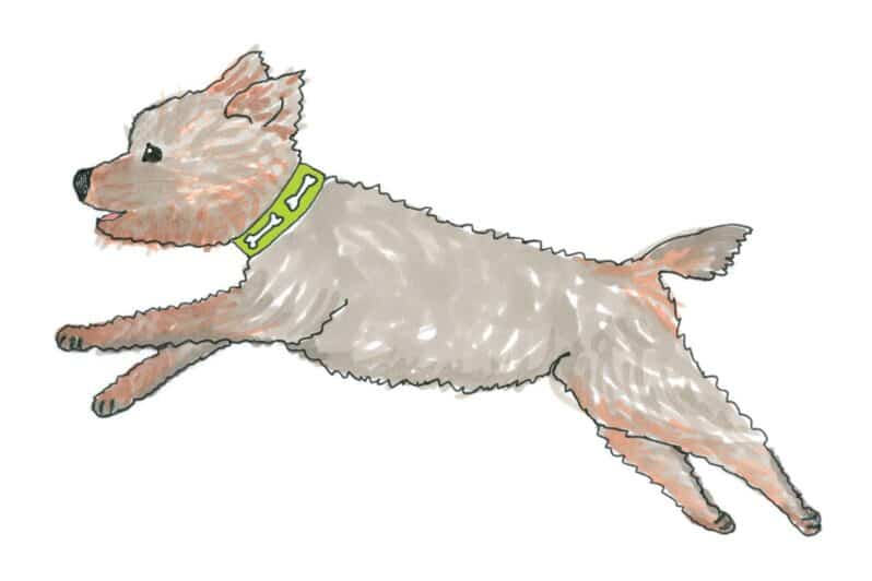 Illustration by Beth Robertson