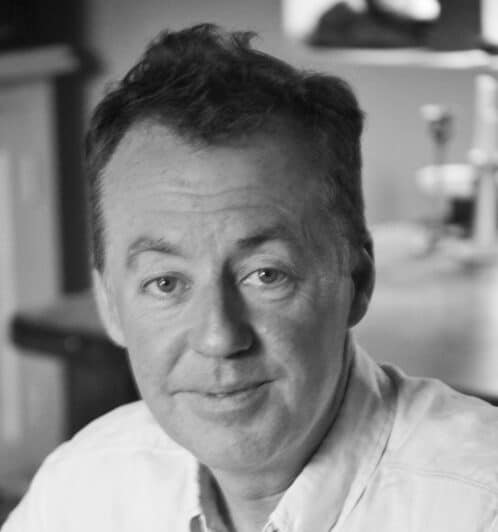 Jack O'Sullivan