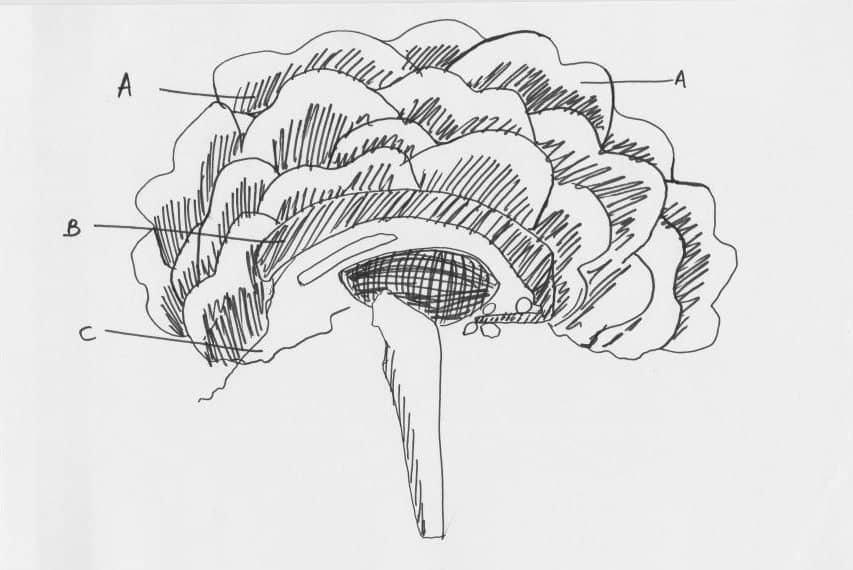 martinandyoule, flickr.com, Public Domain