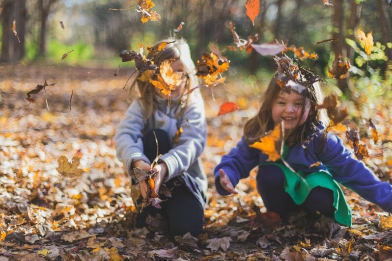 Photo by Michael Morse, CC0, pexels.com,