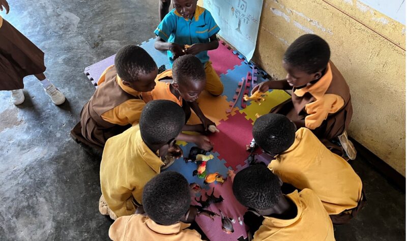 Children at Pedu School work together to sort toy animals to meet a learning goal.