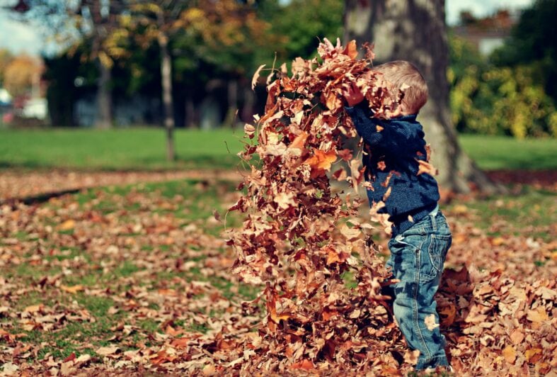 A young child plays with autumn leaves.
