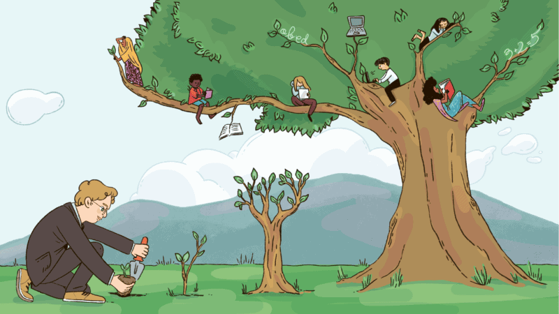 A researcher plants young saplings next to a tree that children have climbed and are learning in.